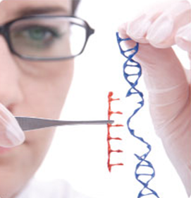 crispr