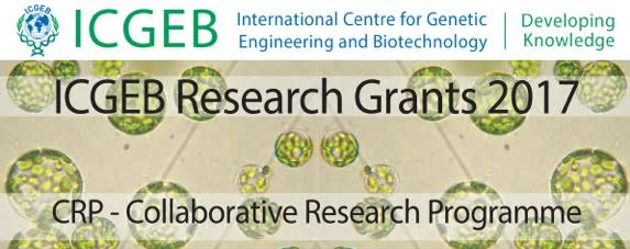 icgeb 2017